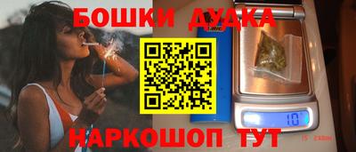 дживик Можга