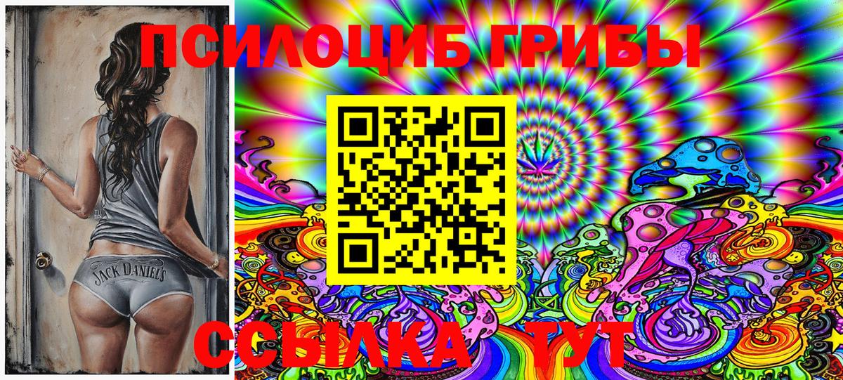 Псилоцибиновые грибы Psilocybine cubensis  Вход с VPN  Дмитров  Псилоцибиновые грибы Cubensis 